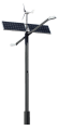Zuraw-.png